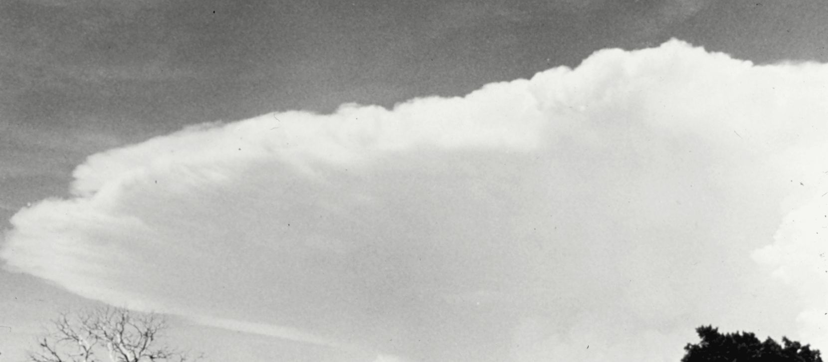 Un immense nuage d'orage dont le sommet s'étale en une enclume plate qui barre tout le ciel ; en bas du cadre, une ligne d'arbres donne l'échelle.