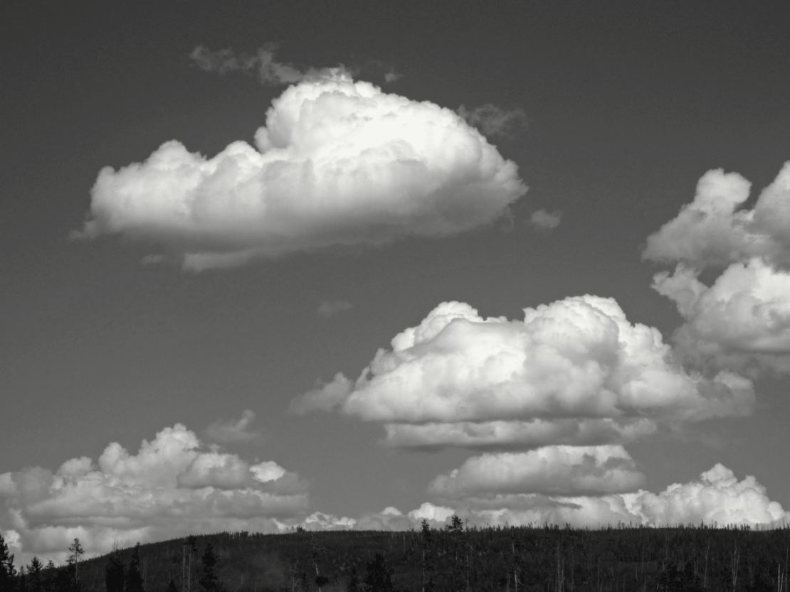 Plusieurs nuages blancs en forme de gros tas, bien séparés les uns des autres, à base plate et à sommet bombé, sur un ciel bleu foncé ; une crête boisée ferme le bas du cadre.