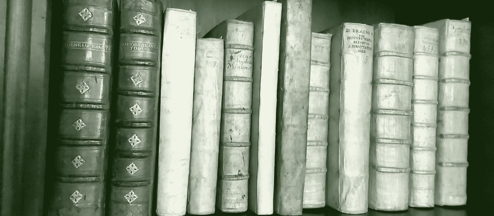 Une douzaine de volumes anciens alignés sur une tablette : des reliures de veau à nerfs, puis des reliures souples de vélin dont les titres sont écrits à la main.