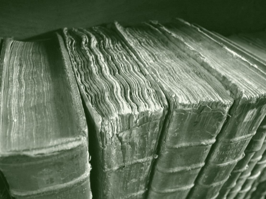 Une rangée de gros volumes reliés en cuir, vus de biais : les corps d'ouvrage ont gondolé, les cuirs sont craquelés et les étiquettes de papier sont usées.